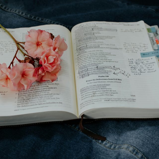 Open book with handwritten notes and colorful tabs, decorated with pink flowers on denim background